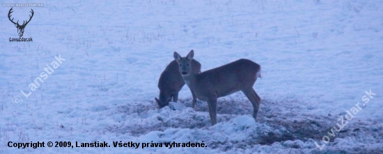 Večera