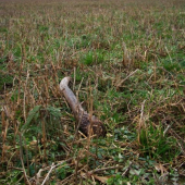 Náhoda - Čakal skoro rok...