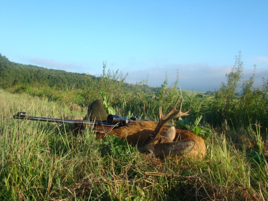 Nepárny 6-7.ročný osmorák