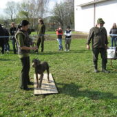 jarní svod Perknov 2012