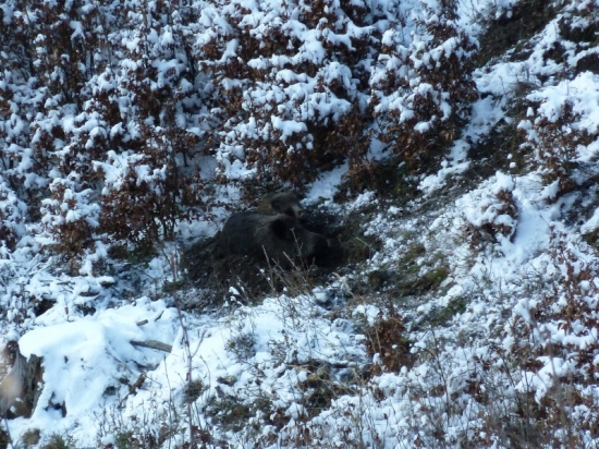 Aj trošku slniečka zohreje v takej krutej zime