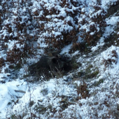Aj trošku slniečka zohreje v takej krutej zime