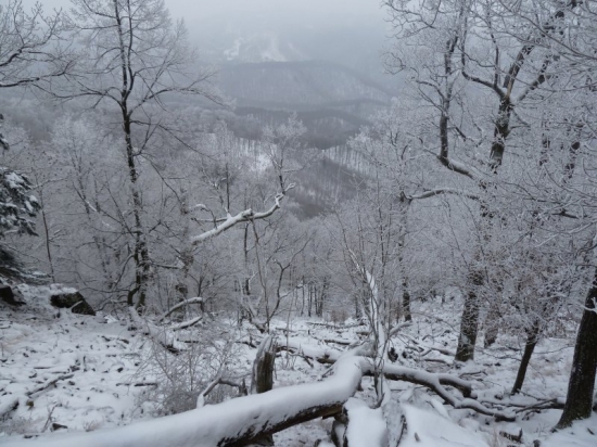 Krásna zimná príroda