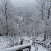 Krásna zimná príroda