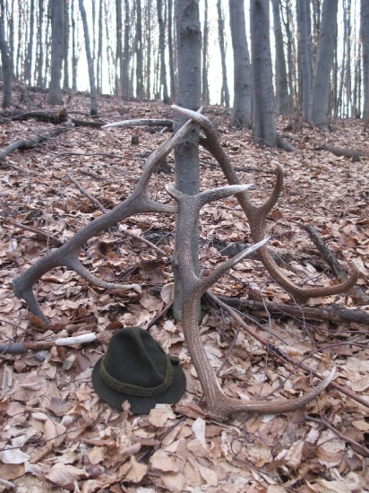 Manželovi sa zadarilo :-)