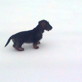 TARO 4 MESIACE