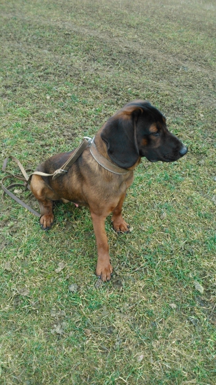 AXEL OD KLINSKEHO POTOKA