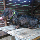 TARKO