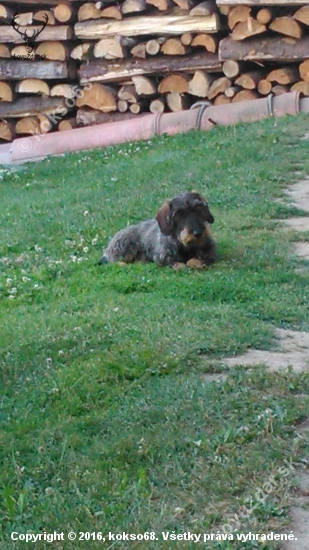 Relax