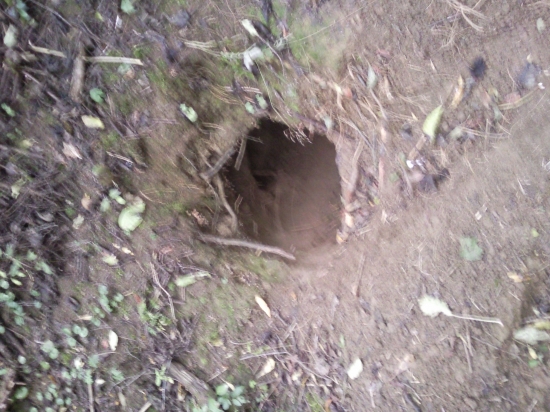 Čo tam asi tak býva?