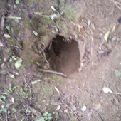 Čo tam asi tak býva?