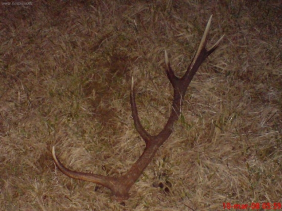 jediny z minuleho roka