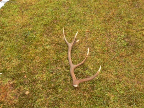 konecne sa zadarilo,najdene 10.3.09