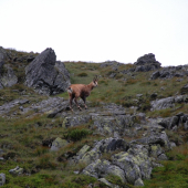 Krasny dovolenkovy zazitok