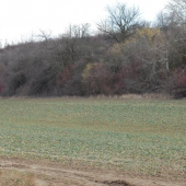 prebudzanie zo zimneho spanku