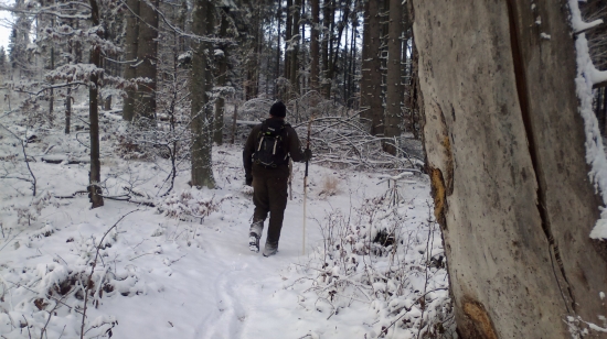 Dnešná prechádzka