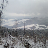 Paseka