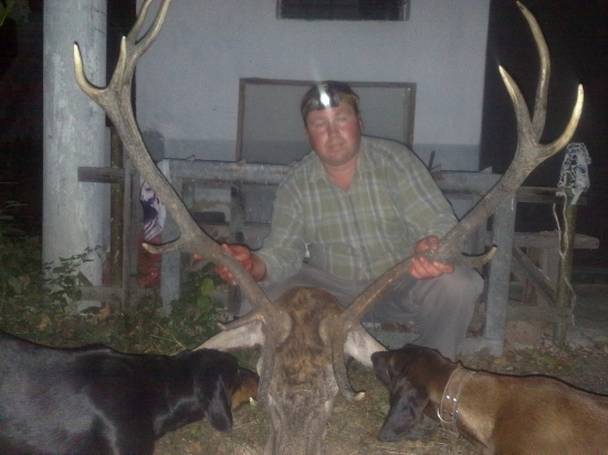 ruja 2011