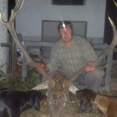 ruja 2011