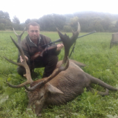 V trave pokropenej rosou