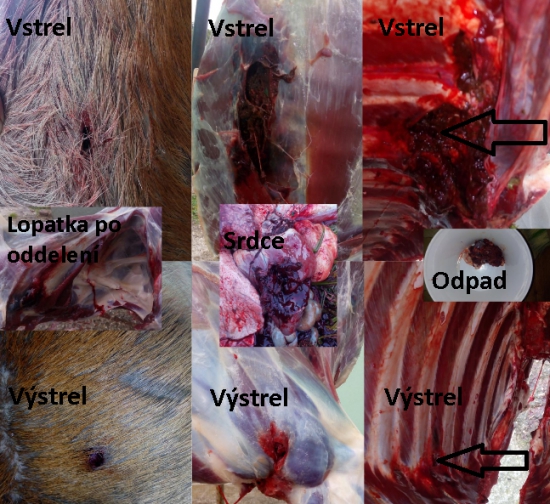 Norma TIPSTRIKE 11g - 308 Win.