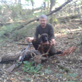 Dohladávka Daniela ll.