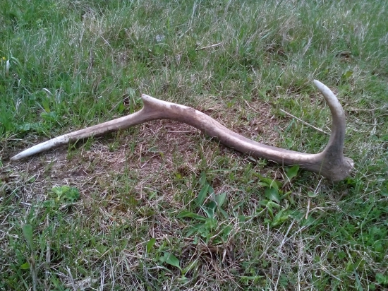 Aj 6-tačik poteší.