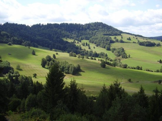 ked sa luky pokosené