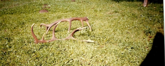 spomienka na rok 2009