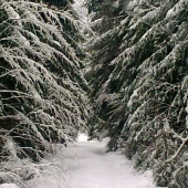 ked je cesta zapadnuta