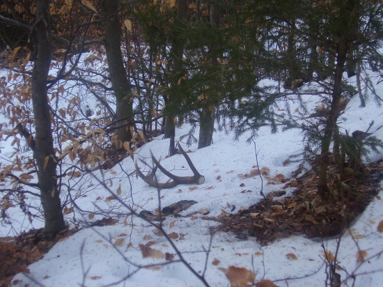 Prvý pohlad furt poťeší