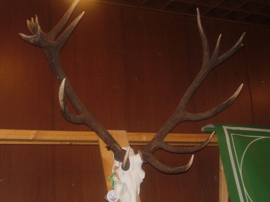 Vystava trofeji Hriňová