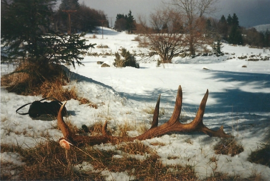 kamaratov úlovok-taký malý zhod