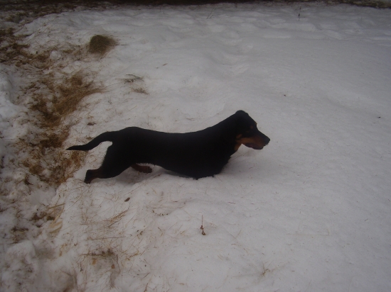 idem nejdem kto vie čo si myslí