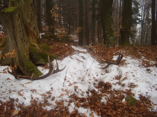 pekné najdené zhody