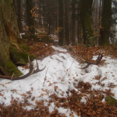 pekné najdené zhody