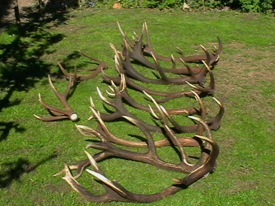 tak a ide sa na vystavu