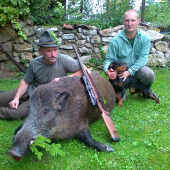 úspešná dohladavka