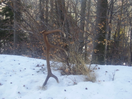 Trošku pre potešenie