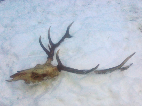 Aj takto začina sezona