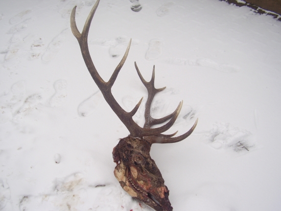 Ked šťasstie praje