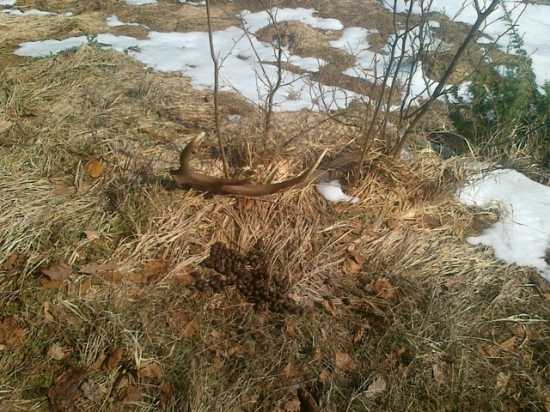 Na slniečku v bôčku