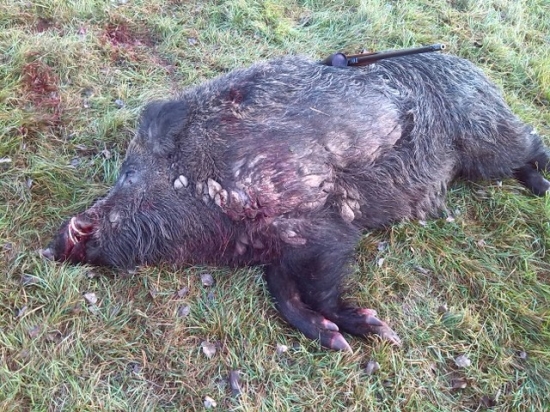 Posledná cesta čierneho rytiera