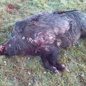 Posledná cesta čierneho rytiera