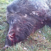 ešte raz D--- ID222768