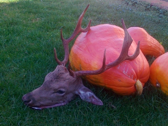 Ked sa usmeje štastie