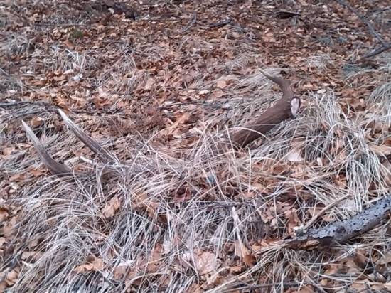 Prvý pohlad furt poťeší