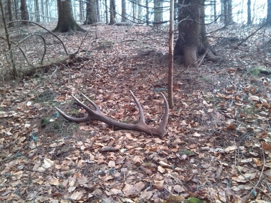 Len tak si tam ležal.