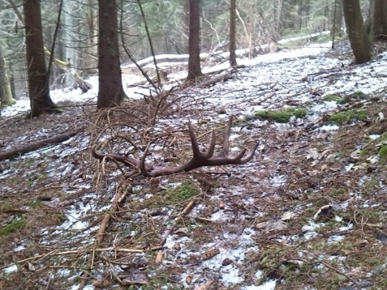 Prvý pohlad furt poťeší