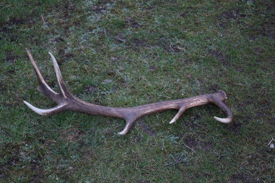 čo povedať.........